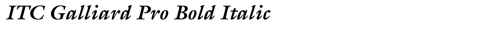 ITC Galliard Pro Bold Italic image